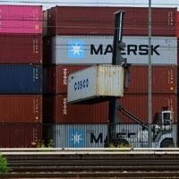 German exports to US plunge as tariffs exact heavy cost