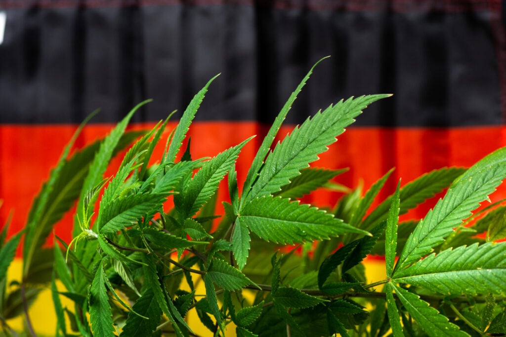 Germany's Cannabis Imports Increase 4x In 2024 Amid Regulatory Changes: Which Countries Are Top Providers?